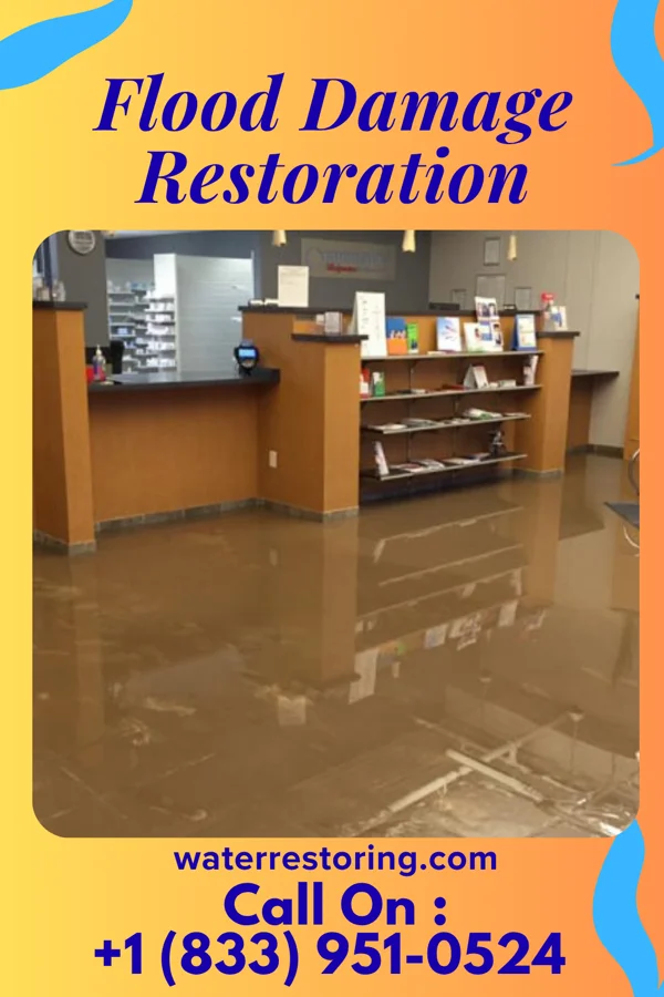 Flood Damage Restoration in Heron Lake, MN