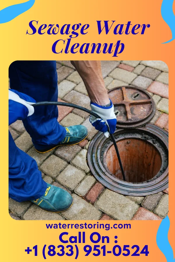 Sewage Water Cleanup in Heron Lake, MN