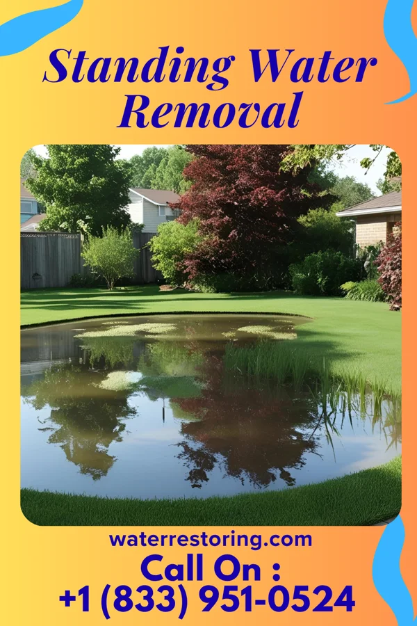 Standing Water Removal in Heron Lake, MN